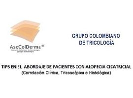 miniatura del curso